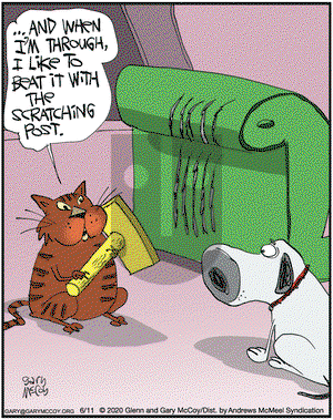 The Flying McCoys on Thursday June 11, 2020 Comic Strip