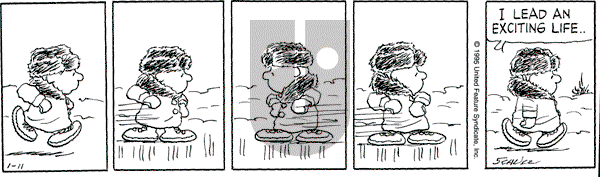 Peanuts - Wednesday January 11, 1995 Comic Strip