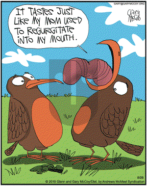 The Flying McCoys on Wednesday August 28, 2019 Comic Strip