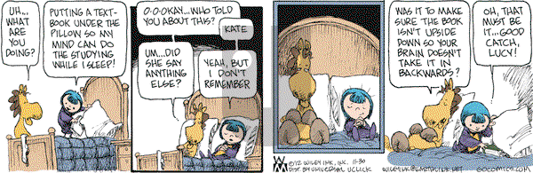 Non Sequitur on Friday November 30, 2012 Comic Strip
