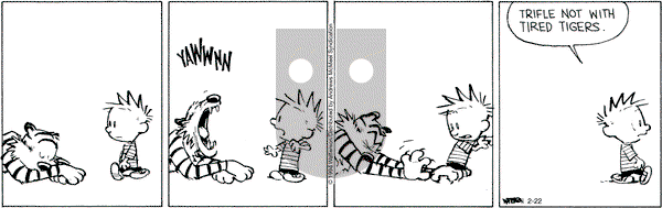 Calvin and Hobbes - Thursday February 22, 2024 Comic Strip