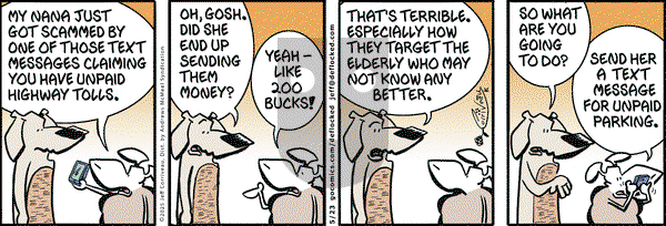 DeFlocked on Friday May 23, 2025 Comic Strip