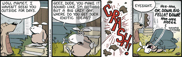 DeFlocked on Wednesday January 29, 2014 Comic Strip