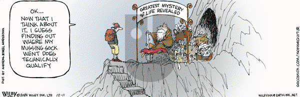 Non Sequitur - Wednesday December 11, 2024 Comic Strip