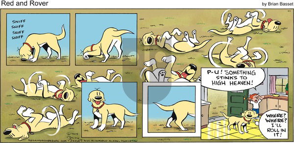 Red and Rover on Sunday June 3, 2018 Comic Strip