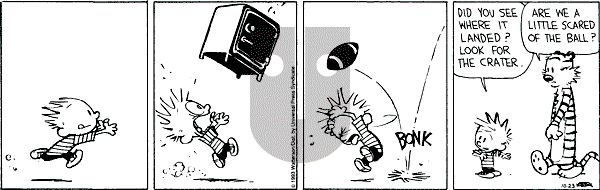 Calvin and Hobbes - Saturday October 23, 1993 Comic Strip