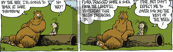 The Grizzwells on Thursday June 4, 2015 Comic Strip