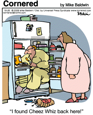 Cornered - Saturday October 25, 2008 Comic Strip