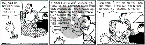 Calvin and Hobbes on Saturday October 30, 1993 Comic Strip