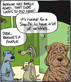 Reality Check on Thursday September 9, 2010 Comic Strip