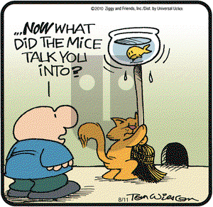 Ziggy on Wednesday August 11, 2010 Comic Strip