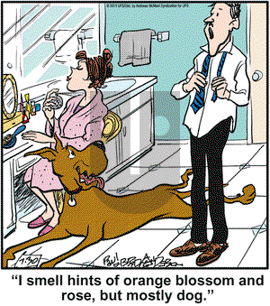 Marmaduke on Friday July 30, 2021 Comic Strip