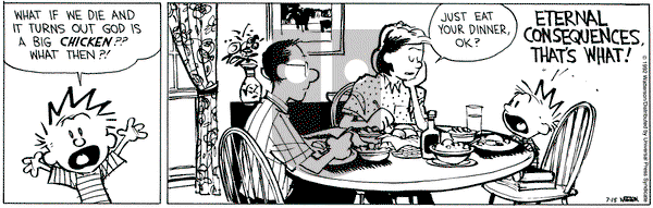 Calvin and Hobbes on Wednesday July 15, 1992 Comic Strip