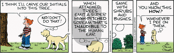 Red and Rover on Wednesday May 14, 2025 Comic Strip