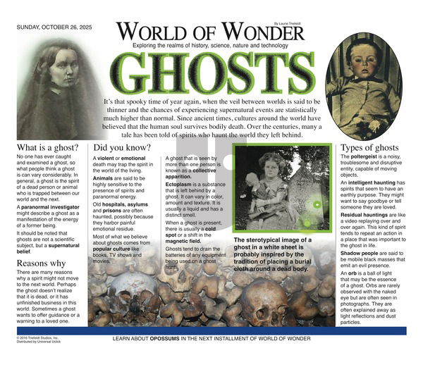 World of Wonder on Sunday October 26, 2025 Comic Strip