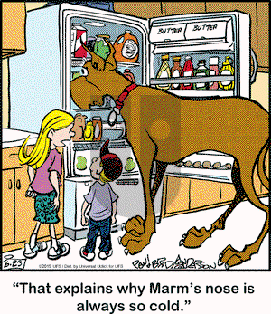 Marmaduke on Tuesday June 23, 2015 Comic Strip