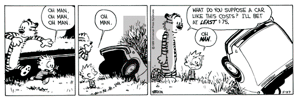 Calvin and Hobbes on Saturday May 27, 1989 Comic Strip