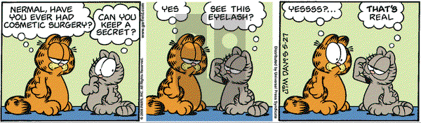 Garfield - Tuesday May 27, 2008 Comic Strip