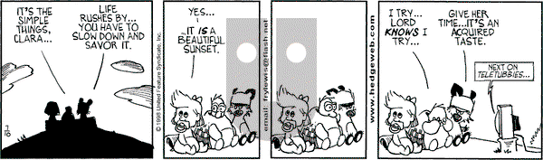 Over the Hedge on Friday July 10, 1998 Comic Strip