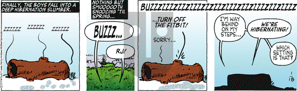 Over the Hedge on Wednesday January 18, 2017 Comic Strip