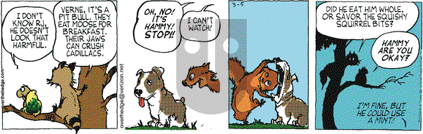 Over the Hedge on Wednesday March 5, 2008 Comic Strip