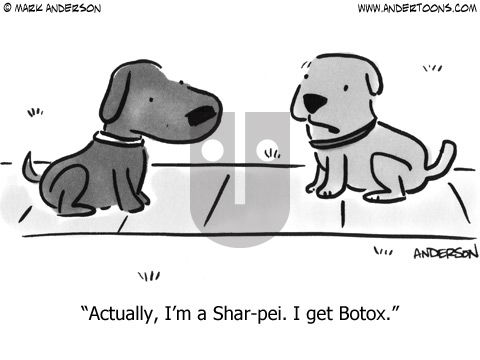 Andertoons on Sunday February 5, 2012 Comic Strip