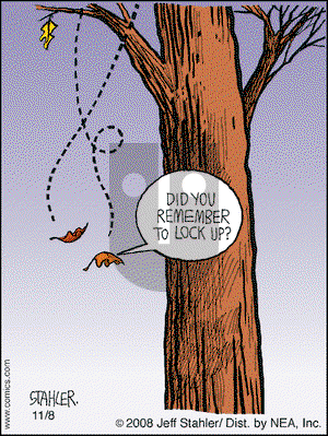 Moderately Confused on Saturday November 8, 2008 Comic Strip