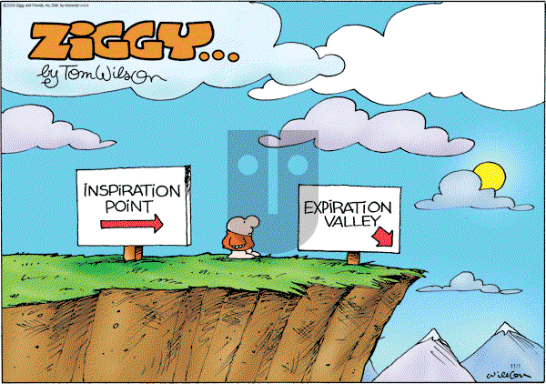 Ziggy - Sunday November 1, 2009 Comic Strip