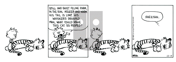 Calvin and Hobbes on Tuesday December 19, 1989 Comic Strip