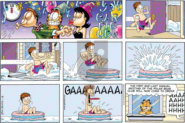 Garfield - Sunday January 3, 2010 Comic Strip