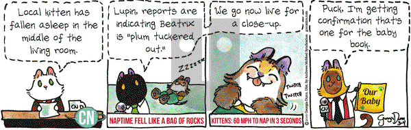 Breaking Cat News on Monday March 4, 2019 Comic Strip
