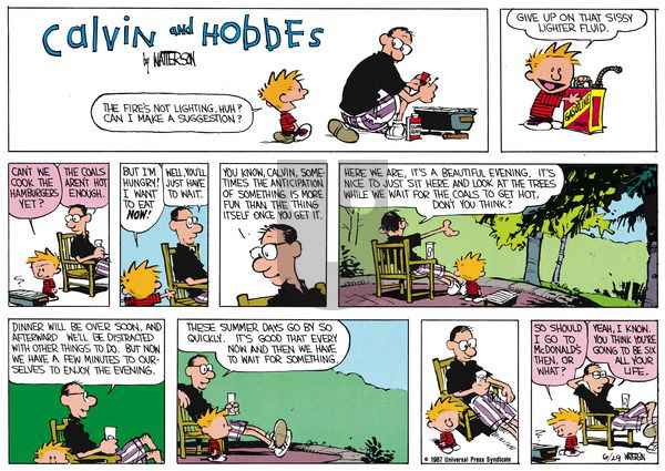 Calvin and Hobbes on Sunday August 2, 1987 Comic Strip