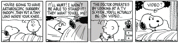 Peanuts on Friday November 20, 1987 Comic Strip