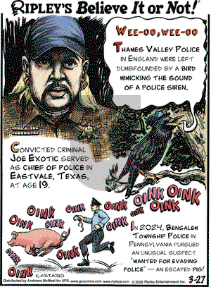 Ripley's Believe It or Not on Thursday March 27, 2025 Comic Strip