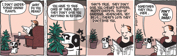 Pooch Cafe on Thursday June 4, 2009 Comic Strip