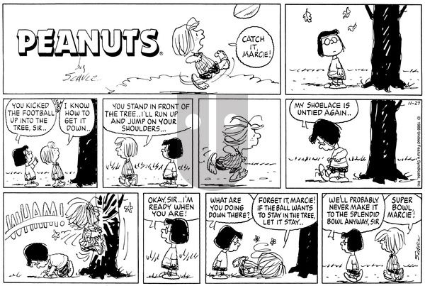 Peanuts on Sunday November 27, 1988 Comic Strip