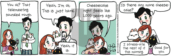 Breaking Cat News on Thursday April 23, 2020 Comic Strip
