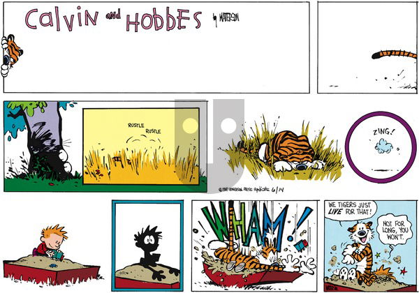 Calvin and Hobbes on Sunday July 24, 1988 Comic Strip