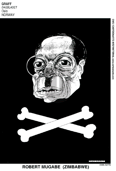 ViewsAfrica on Tuesday June 24, 2008 Comic Strip