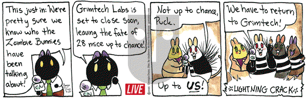 Breaking Cat News on Saturday September 20, 2025 Comic Strip