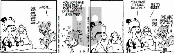 Over the Hedge - Monday February 18, 2002 Comic Strip