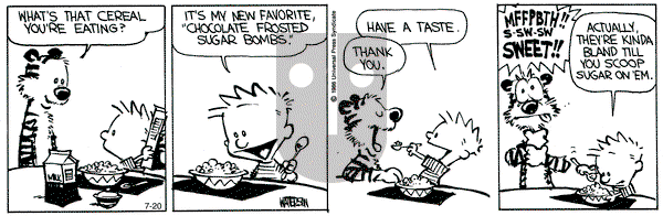 Calvin and Hobbes on Saturday July 20, 1991 Comic Strip