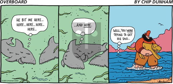 Overboard on Sunday August 19, 2012 Comic Strip