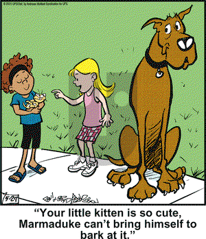 Marmaduke on Tuesday May 27, 2025 Comic Strip