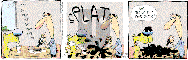 The Duplex on Wednesday June 16, 2004 Comic Strip