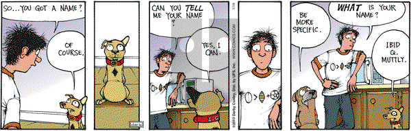 Get Fuzzy on Tuesday January 19, 2010 Comic Strip