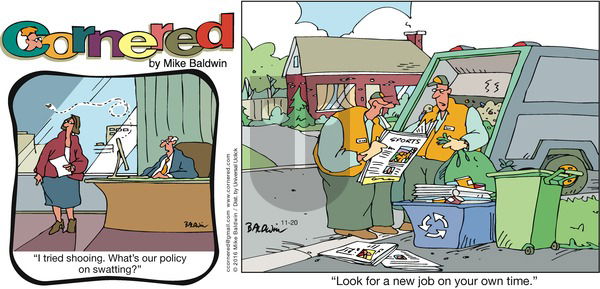 Cornered on Sunday November 20, 2016 Comic Strip