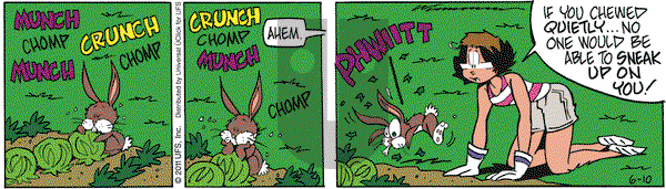 Rose is Rose - Friday June 10, 2011 Comic Strip