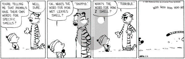 Calvin and Hobbes on Tuesday February 14, 1995 Comic Strip