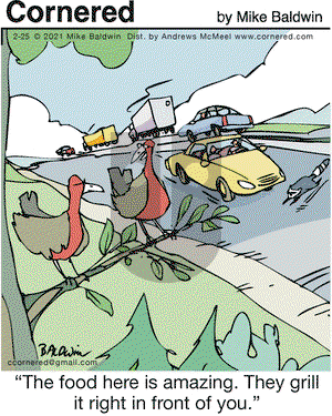 Cornered on Thursday February 25, 2021 Comic Strip